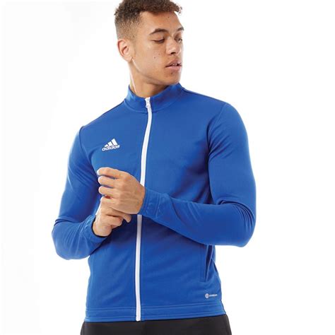 adidas entrada blauw|Adidas entrada track tops.